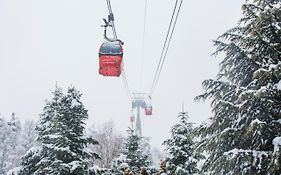 Hotel Magic Ski By Nexta